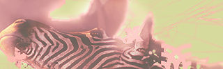 012jXDA.png