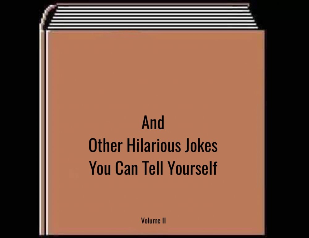 Vaizdo rezultatas pagal užklausą „and other jokes you can tell yourself meme“