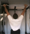 100px-Pullup.gif