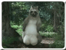 1202280563_019.gif