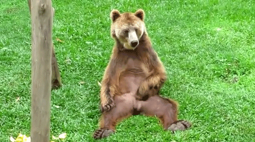 1365134492_499-6.gif