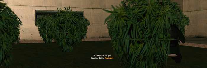1mesH41.png