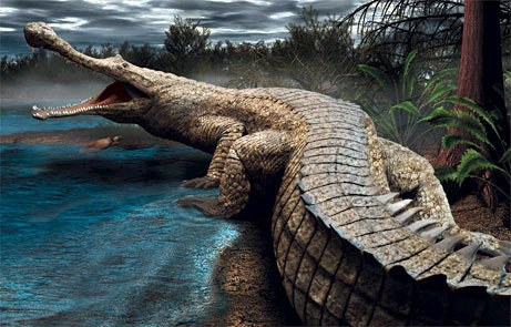 2-1-sarcosuchus_imperator.jpg