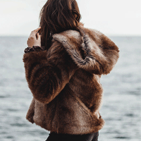 22ff1490779c27ee09490b0b0a96d1fd337.png
