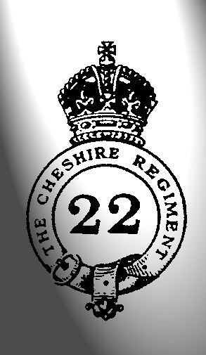 22logo.jpg
