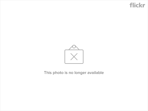 254715307_444f2dfd66.jpg