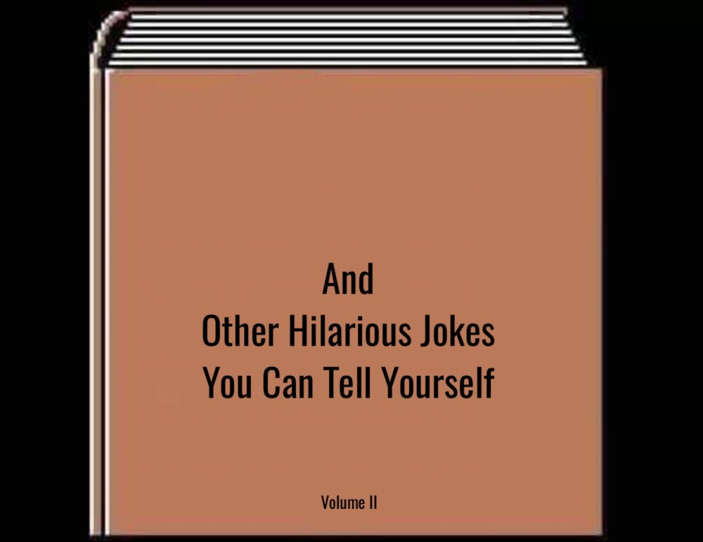 Image result for and other jokes you can tell yourself