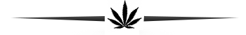 2bPEc01.png