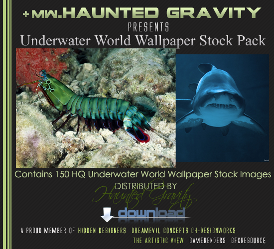 2v1sqw4.png