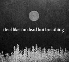 342d094bdb6843f19069fe16f4e03a77.jpg