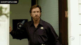 chuck-norris-ball.gif?w=780