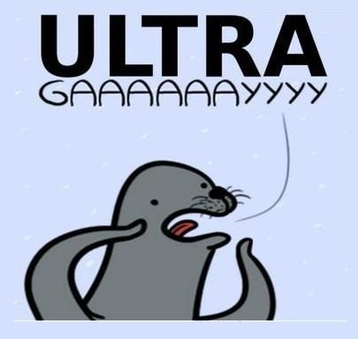 47532-since-you-guys-all-geyz-love-cats-ultra-gay-seal-jpg%3Fdateline%3D1340750191