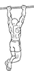 50px-Gironda-sternum-chins-2.png