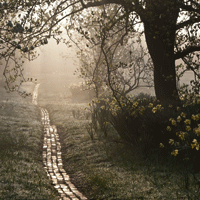 533d62a90d8f9ffcf58976aa69cdc5ab688.png