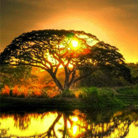 566f2386479e0322182bf567d8885f40831.png