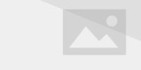 200px-0,224,26,138-FBI_2.png
