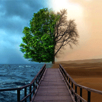 5b0954f2f2f509af72fe19a1edb9347758.png