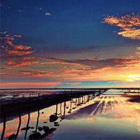 6f599b9adaf224f323ba961b828ed61b874.png