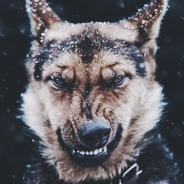 82e010afe870774306e4ce6188b67cb1685.png
