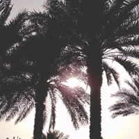 93859f9825d75b23f0dabf1a212f5996741.png