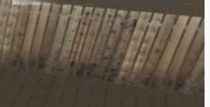 A5XZWwZ.png