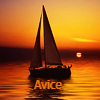 Avice.png