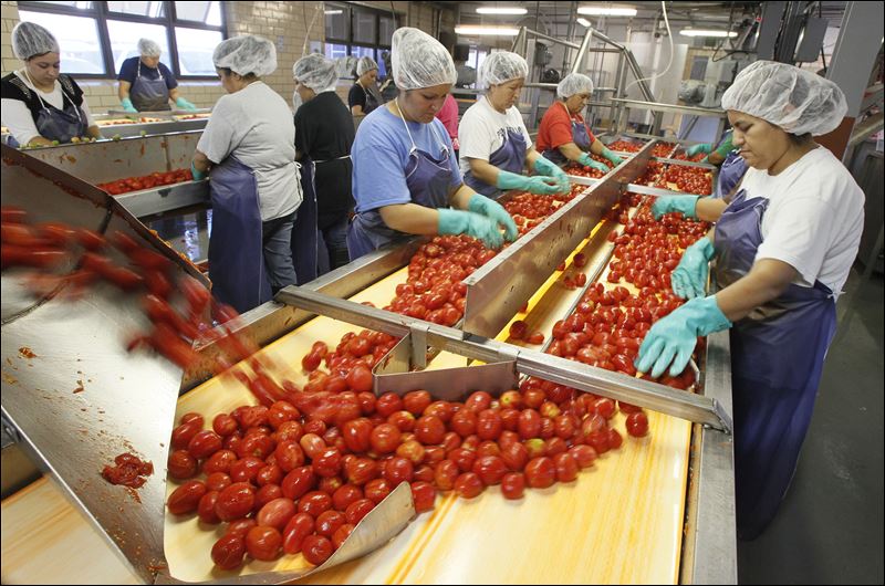BIZ-tomatoes09p-8.jpg