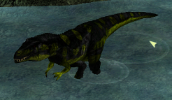 Carcharadontosaurus.png