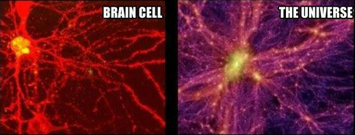 CellUniverse.png