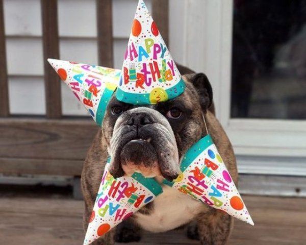 Funny_Happy_Birthday_Pictures_Images.jpg