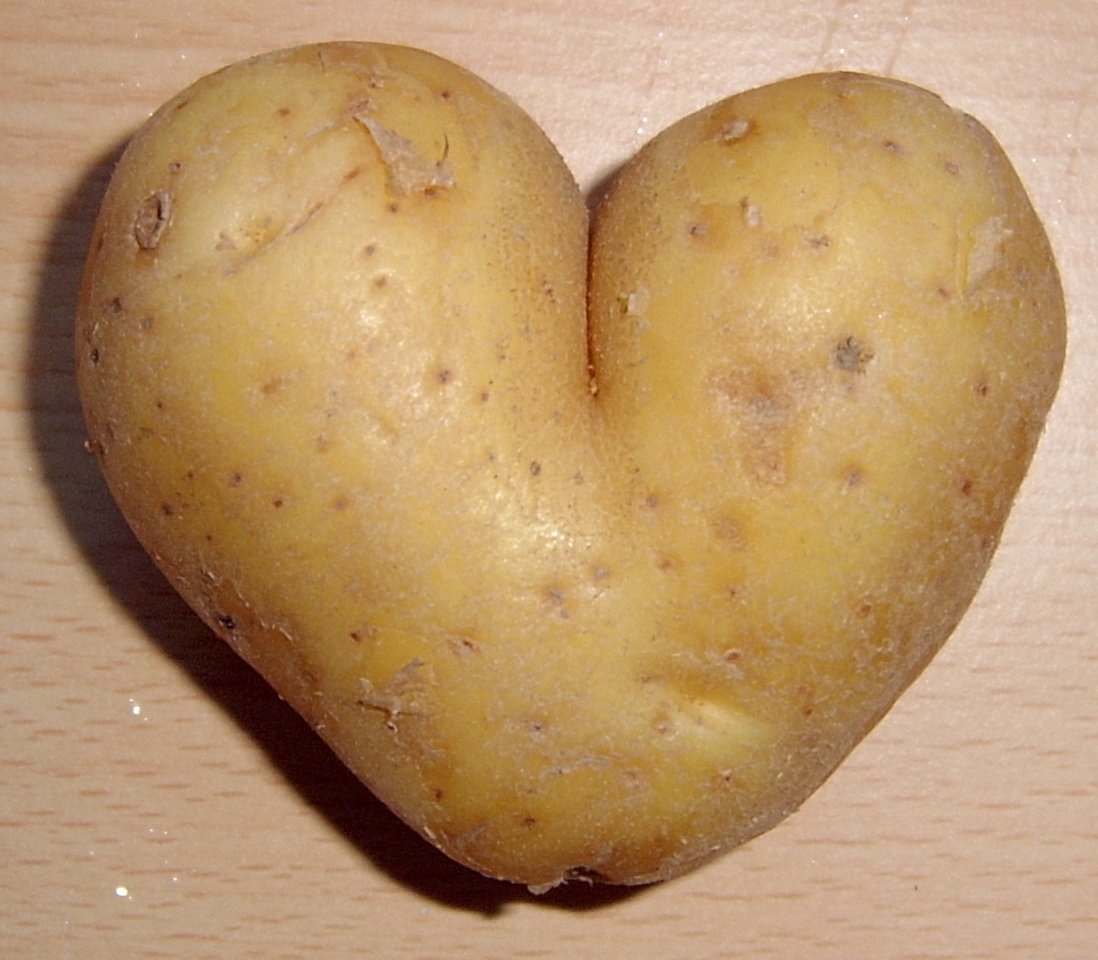 Potato_heart_mutation.jpg