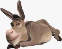 Shreko_asilas.jpg