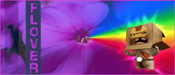 Untitled-flower.jpg
