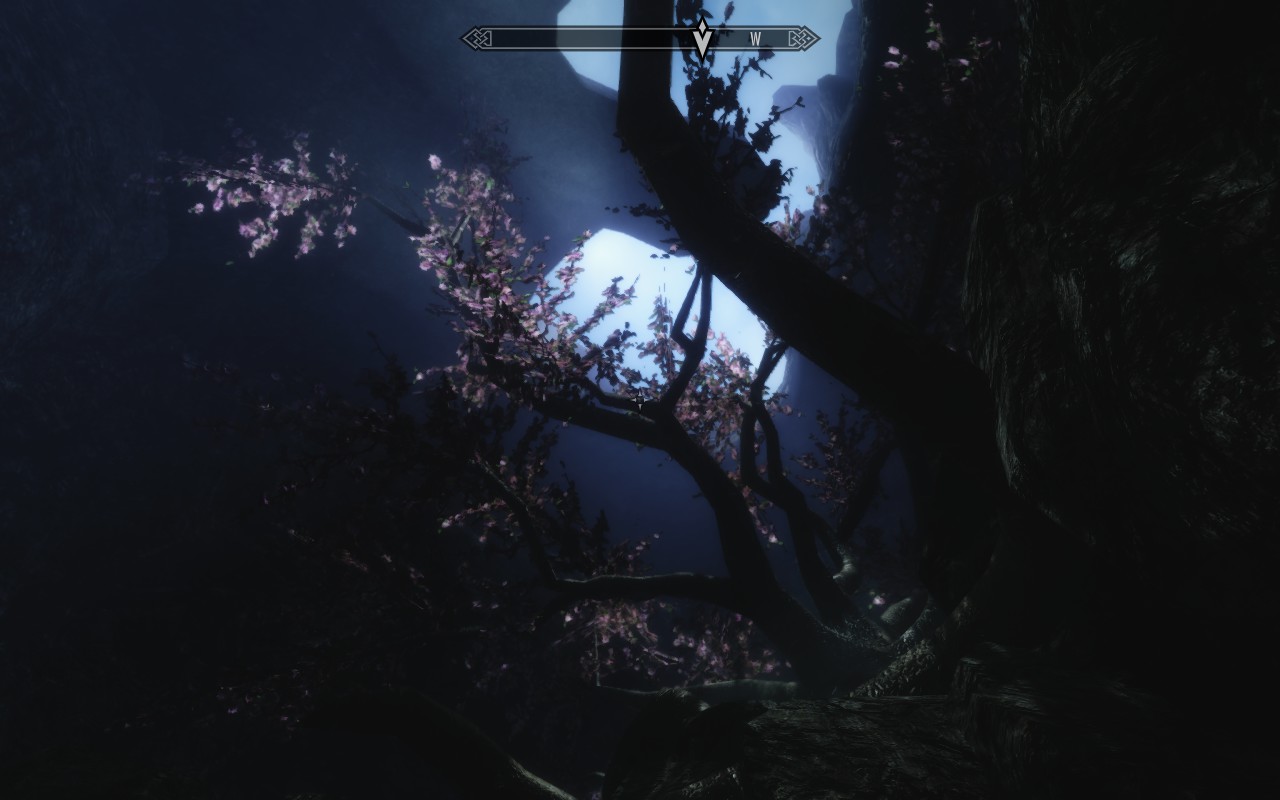 Xx2WGnG.jpg
