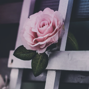 ac83df6081537f5ad535abc92f1cd399533.png
