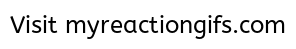 aceventurathumbsup.gif