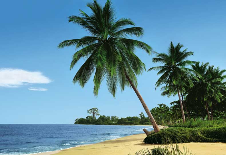 african-beach.jpg