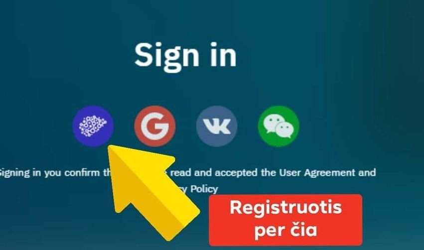 Nuotraukoje gali būti: tekstas „Sign in G K igning in you confirm th read and accepted the User Agreement and Policy Registruotis per čia“