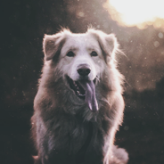 b975990fc24603af889e1d42be10352b995.png