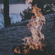 be1d7b39c7fa31544297a459e5967a20903.png