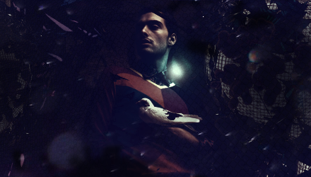birds_by_lomnus-d4ax99o.png