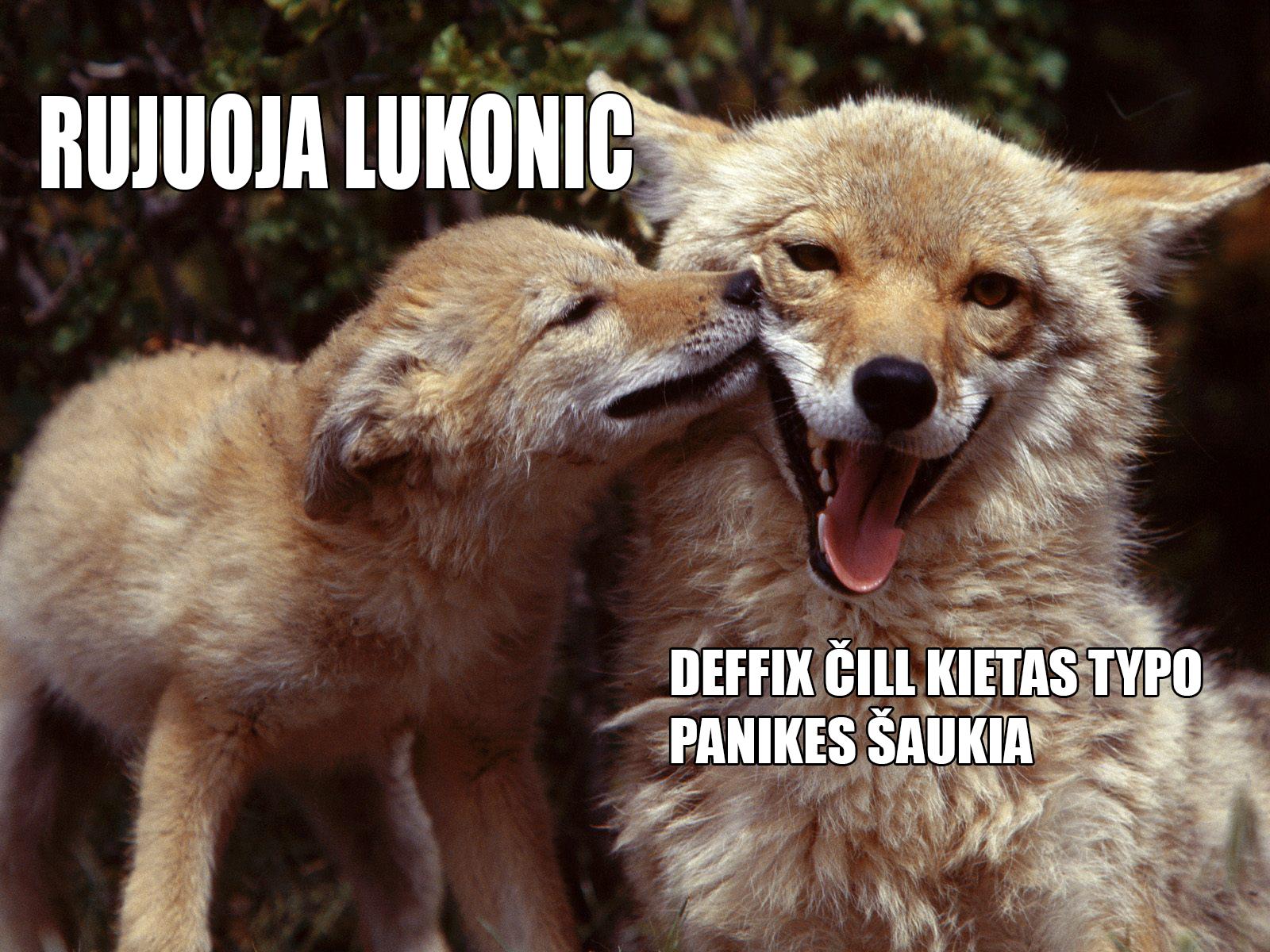 bvLnRUd.jpg