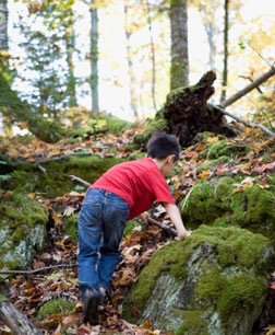 children-nature.jpg