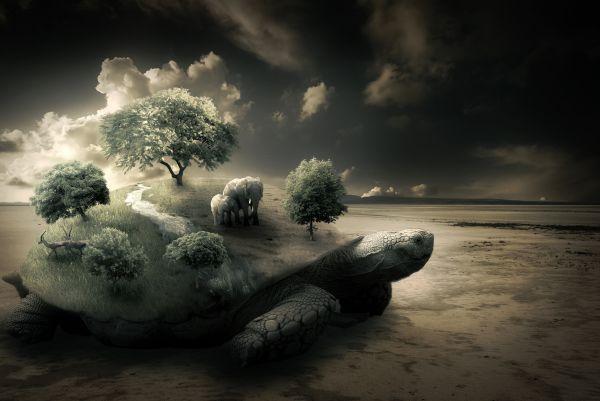 create-a-surreal-turtle-photo-manipulati