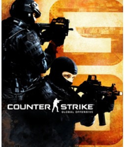 csgo-255x300.jpg
