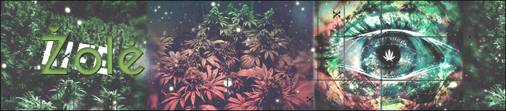 d1f2867ee30e568a11b9a41c8167362f381.gif