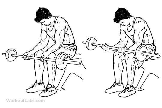 delavier_barbellWristCurls_00.png