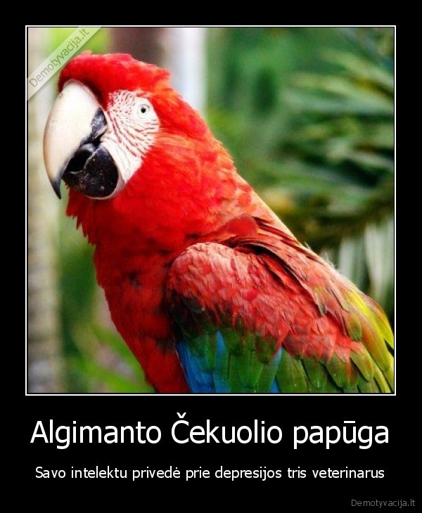 demotyvacija.lt_Algimanto-cekuolio-papug