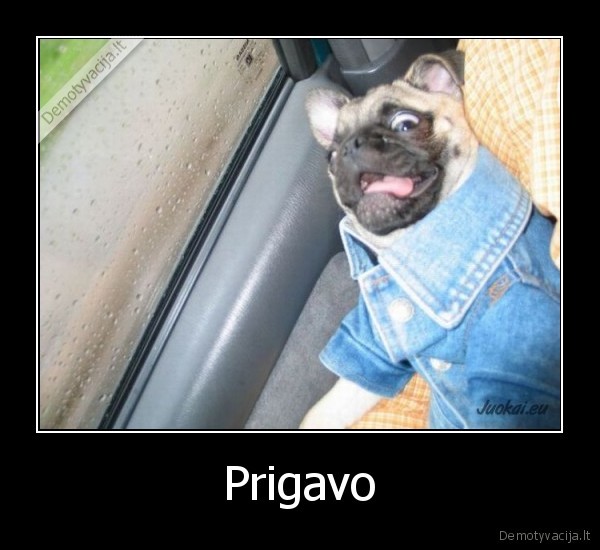 demotyvacija.lt_Prigavo-_130272497245.jp