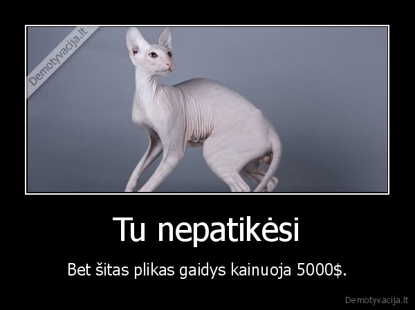 demotyvacija.lt_Tu-nepatikesi-Bet-sitas-